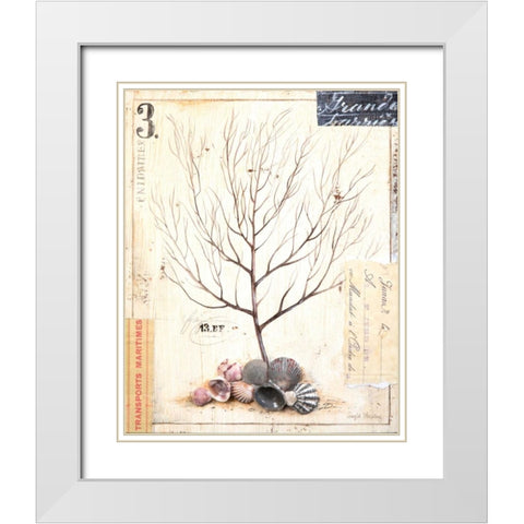 Coral Sketchbook White Modern Wood Framed Art Print with Double Matting by Staehling, Angela