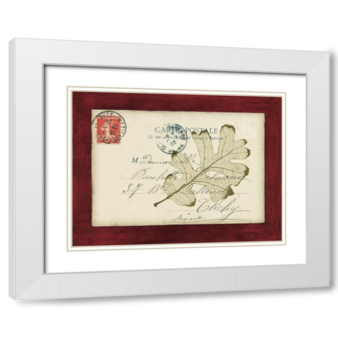 Rose Leaf Envelope White Modern Wood Framed Art Print with Double Matting by Morey, Booker