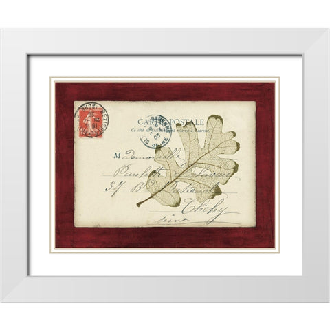 Rose Leaf Envelope White Modern Wood Framed Art Print with Double Matting by Morey, Booker