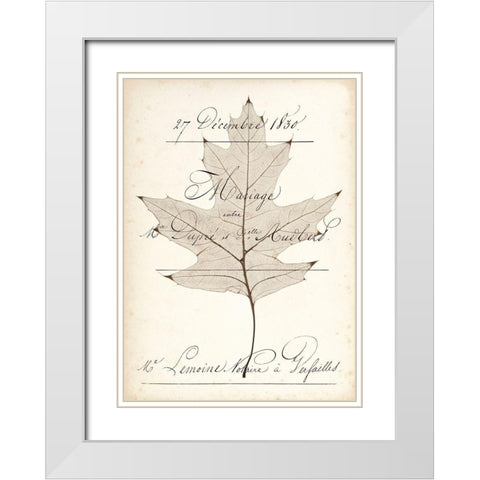 Birch Document White Modern Wood Framed Art Print with Double Matting by Morey, Booker