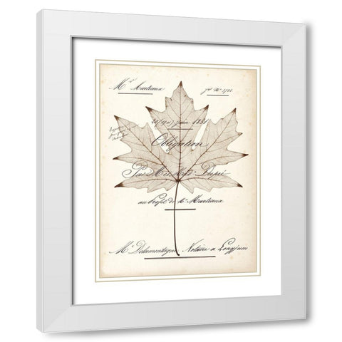 Maple Document White Modern Wood Framed Art Print with Double Matting by Morey, Booker