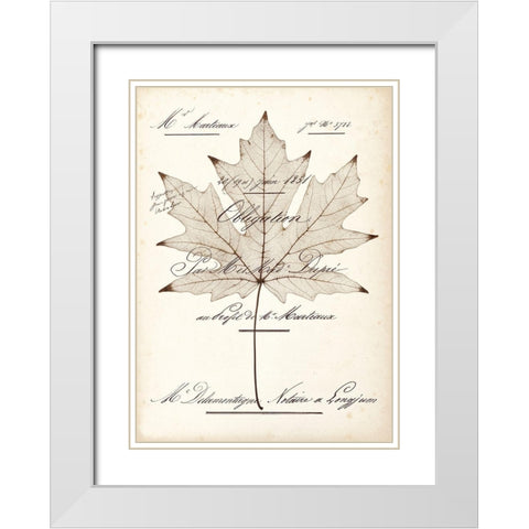 Maple Document White Modern Wood Framed Art Print with Double Matting by Morey, Booker