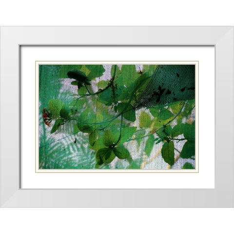 Fresh Green 2 White Modern Wood Framed Art Print with Double Matting by Rauscher, Michel