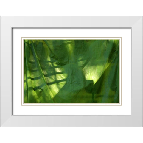 Fresh Green 3 White Modern Wood Framed Art Print with Double Matting by Rauscher, Michel