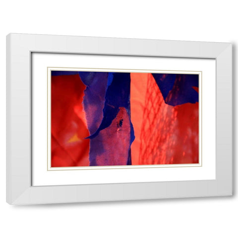 Red Autumn 3 White Modern Wood Framed Art Print with Double Matting by Rauscher, Michel
