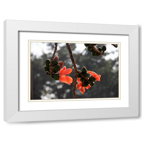 Global Vessel 1 White Modern Wood Framed Art Print with Double Matting by Rauscher, Michel