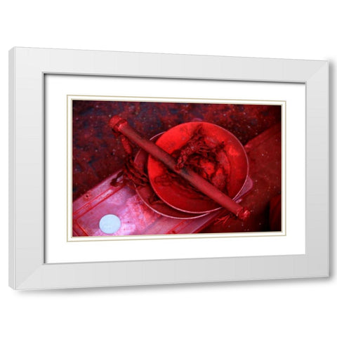 Global Spice 2 White Modern Wood Framed Art Print with Double Matting by Rauscher, Michel