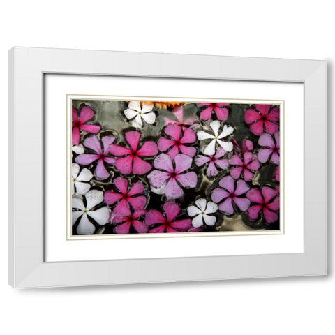 Floral Pond 1 White Modern Wood Framed Art Print with Double Matting by Rauscher, Michel