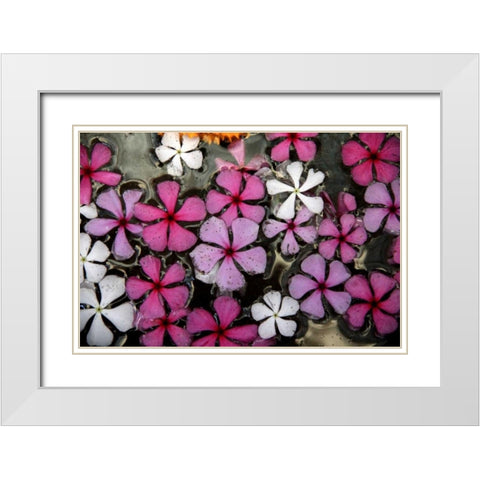 Floral Pond 1 White Modern Wood Framed Art Print with Double Matting by Rauscher, Michel