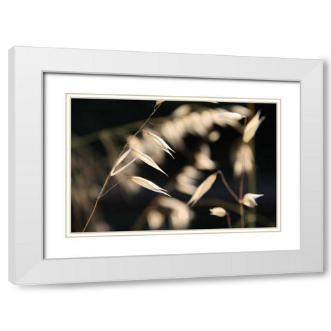 Moonlight Enchantment 3 White Modern Wood Framed Art Print with Double Matting by Rauscher, Michel