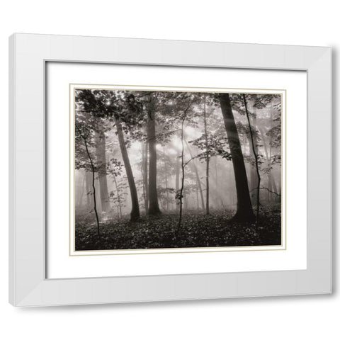 Sun Filters White Modern Wood Framed Art Print with Double Matting by Aniballi, Brett