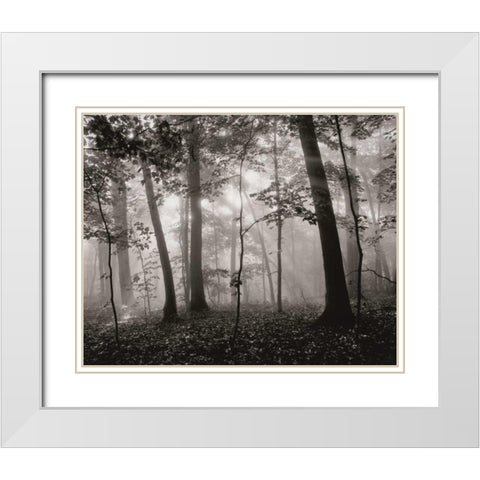 Sun Filters White Modern Wood Framed Art Print with Double Matting by Aniballi, Brett