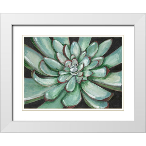 Desert Succulent White Modern Wood Framed Art Print with Double Matting by Ioco, Filippo