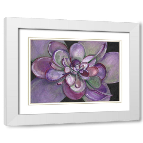 Plum Succulent  White Modern Wood Framed Art Print with Double Matting by Ioco, Filippo