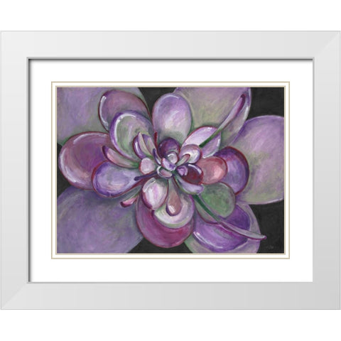 Plum Succulent  White Modern Wood Framed Art Print with Double Matting by Ioco, Filippo