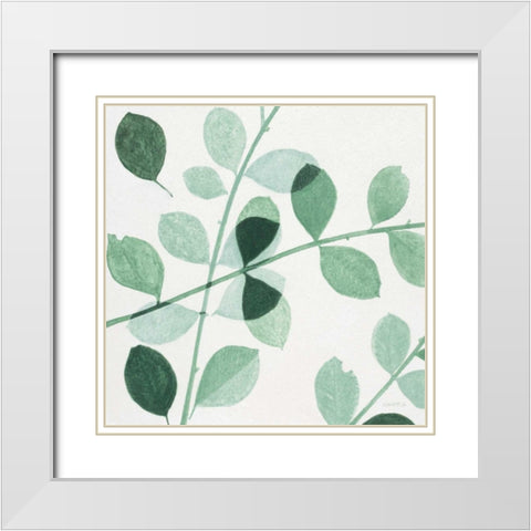 Grove Detail 3 White Modern Wood Framed Art Print with Double Matting by Wyatt, Norman Jr.
