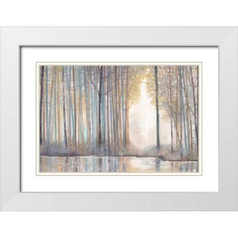 Forest Reflections  White Modern Wood Framed Art Print with Double Matting by Wyatt, Norman Jr.