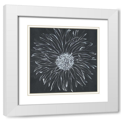 Chalk Bloom 1 White Modern Wood Framed Art Print with Double Matting by Adams, Connor