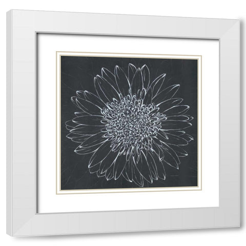 Chalk Bloom 2 White Modern Wood Framed Art Print with Double Matting by Adams, Connor