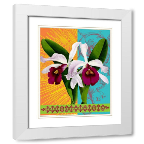 Star Burst Orchid White Modern Wood Framed Art Print with Double Matting by Robertson, Walter