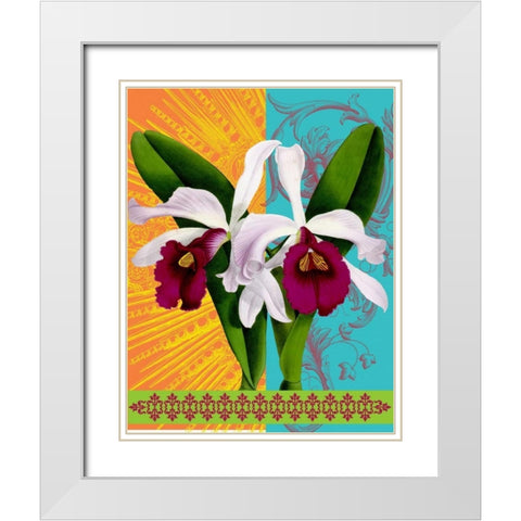 Star Burst Orchid White Modern Wood Framed Art Print with Double Matting by Robertson, Walter