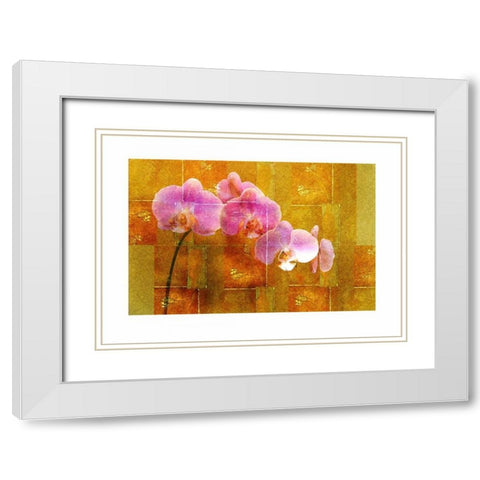 Sheer Pink Orhcid White Modern Wood Framed Art Print with Double Matting by Robertson, Walter