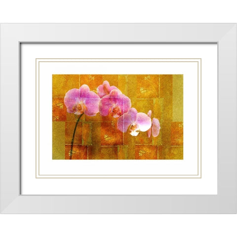 Sheer Pink Orhcid White Modern Wood Framed Art Print with Double Matting by Robertson, Walter