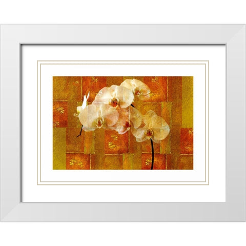 Sheer White Orchid White Modern Wood Framed Art Print with Double Matting by Robertson, Walter