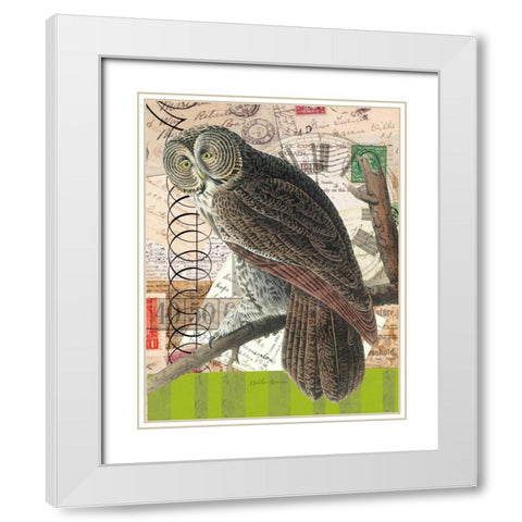 Curious Owl 1 White Modern Wood Framed Art Print with Double Matting by Robertson, Walter