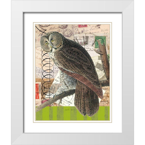 Curious Owl 1 White Modern Wood Framed Art Print with Double Matting by Robertson, Walter