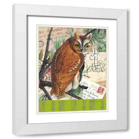 Curious Owl 2 White Modern Wood Framed Art Print with Double Matting by Robertson, Walter