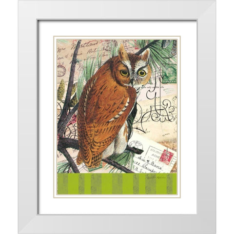 Curious Owl 2 White Modern Wood Framed Art Print with Double Matting by Robertson, Walter