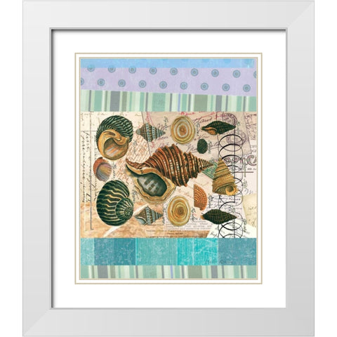 Nautilus Elements White Modern Wood Framed Art Print with Double Matting by Robertson, Walter
