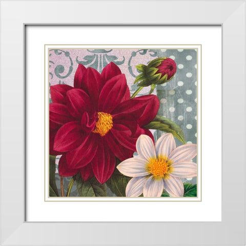 Red Dahlia White Modern Wood Framed Art Print with Double Matting by Robertson, Walter