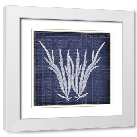 Seaweed Document 1 White Modern Wood Framed Art Print with Double Matting by Robertson, Walter
