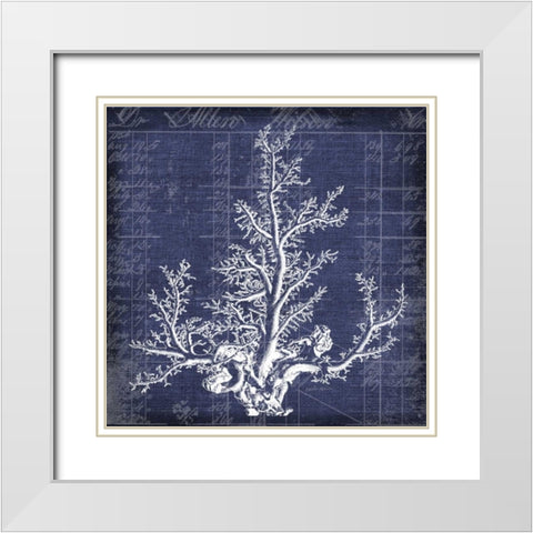Seaweed Document 2 White Modern Wood Framed Art Print with Double Matting by Robertson, Walter
