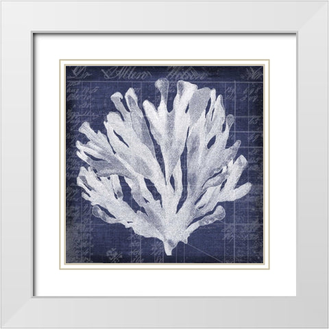 Seaweed Document 3 White Modern Wood Framed Art Print with Double Matting by Robertson, Walter