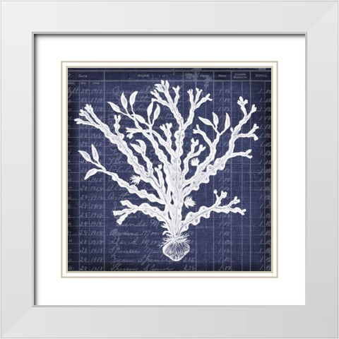 Seaweed Document 4 White Modern Wood Framed Art Print with Double Matting by Robertson, Walter
