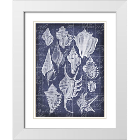 Shell Life 1 White Modern Wood Framed Art Print with Double Matting by Robertson, Walter