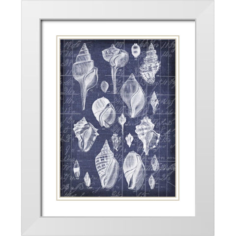 Shell Life 2 White Modern Wood Framed Art Print with Double Matting by Robertson, Walter