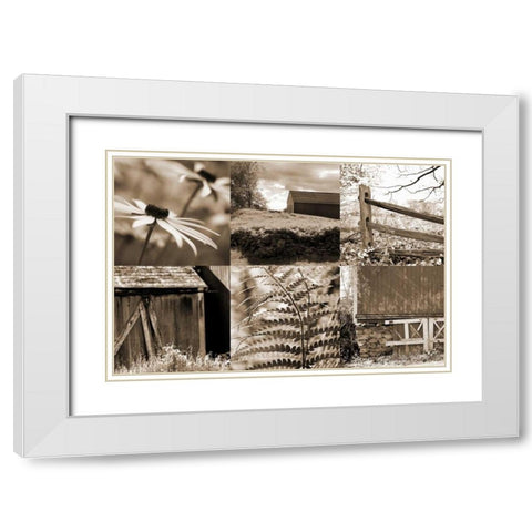 Roadside Beauty White Modern Wood Framed Art Print with Double Matting by Amber Light Gallery