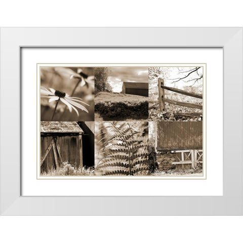 Roadside Beauty White Modern Wood Framed Art Print with Double Matting by Amber Light Gallery