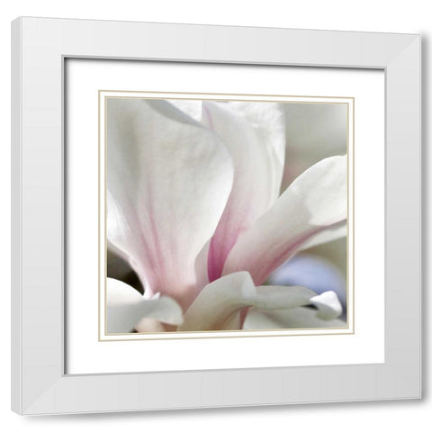 Magnolia Essence White Modern Wood Framed Art Print with Double Matting by Amber Light Gallery