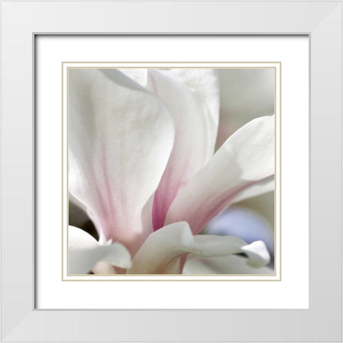 Magnolia Essence White Modern Wood Framed Art Print with Double Matting by Amber Light Gallery