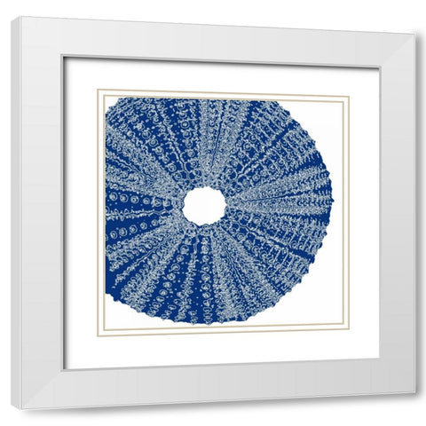 Sepia Shell Life 2 White Modern Wood Framed Art Print with Double Matting by Amber Light Gallery