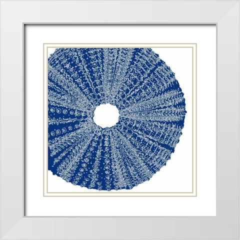 Sepia Shell Life 2 White Modern Wood Framed Art Print with Double Matting by Amber Light Gallery