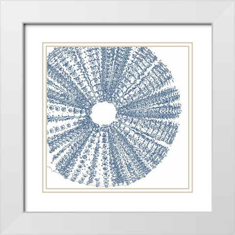 Sepia Shell Life 2 White Modern Wood Framed Art Print with Double Matting by Amber Light Gallery