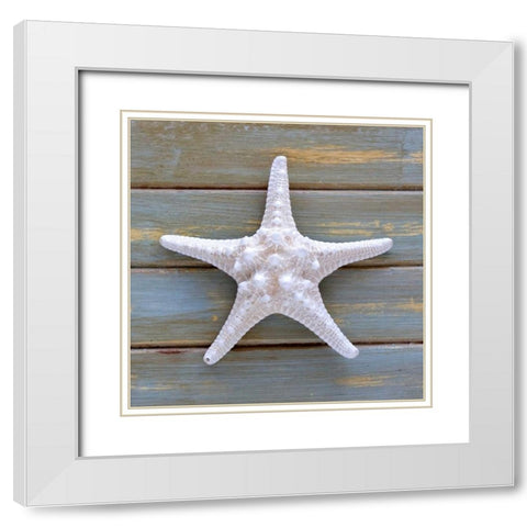 White Starfish  White Modern Wood Framed Art Print with Double Matting by Amber Light Gallery