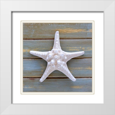 White Starfish  White Modern Wood Framed Art Print with Double Matting by Amber Light Gallery