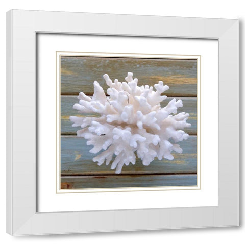 White Coral  White Modern Wood Framed Art Print with Double Matting by Amber Light Gallery